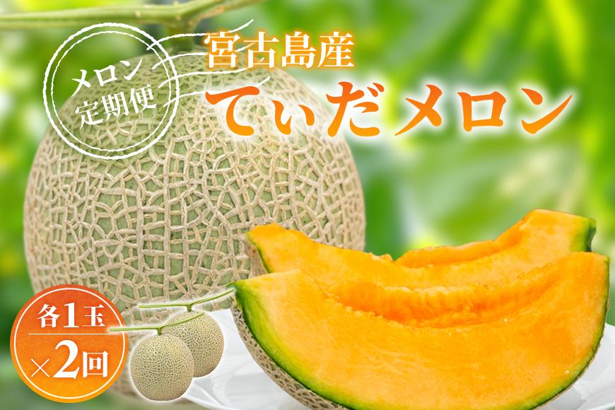 【メロン定期便】宮古島産てぃだメロン 1玉《2025年冬・2026年春発送》＜8farm＞（JC003）
