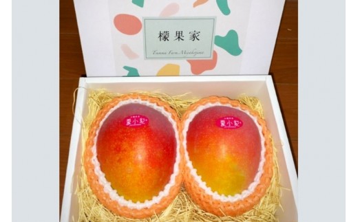 【2026年先行予約】【檬果家】マンゴー好き必見！沖縄限定　希少品種【夏小紅】１kg２玉　贈答用（HZ001）