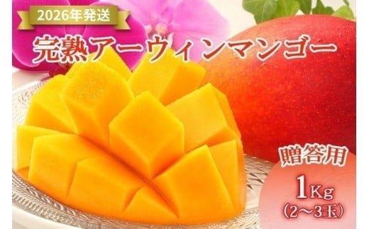 【先行受付】＜2026年発送＞いらぶ島マンゴー園　宮古島産“完熟アーウィンマンゴー”《贈答用》1kg（HR03）