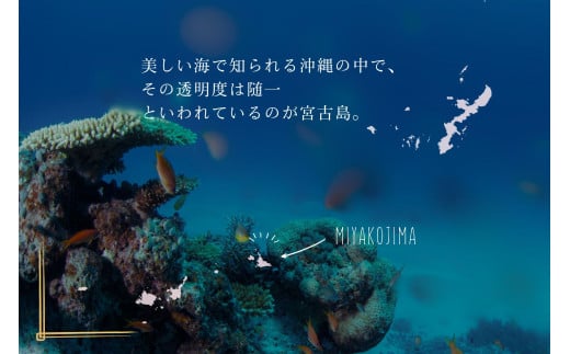 【9個セット】宮古島の雪塩詰め合わせ（B132）