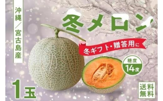 【琉球マルシェ】毎年大好評！沖縄県宮古島産　冬メロン　１玉（大）1.5kg以上　贈答用　冬のギフト