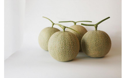 【琉球マルシェ】毎年大好評！沖縄県宮古島産　冬メロン　１玉（大）1.5kg以上　贈答用　冬のギフト