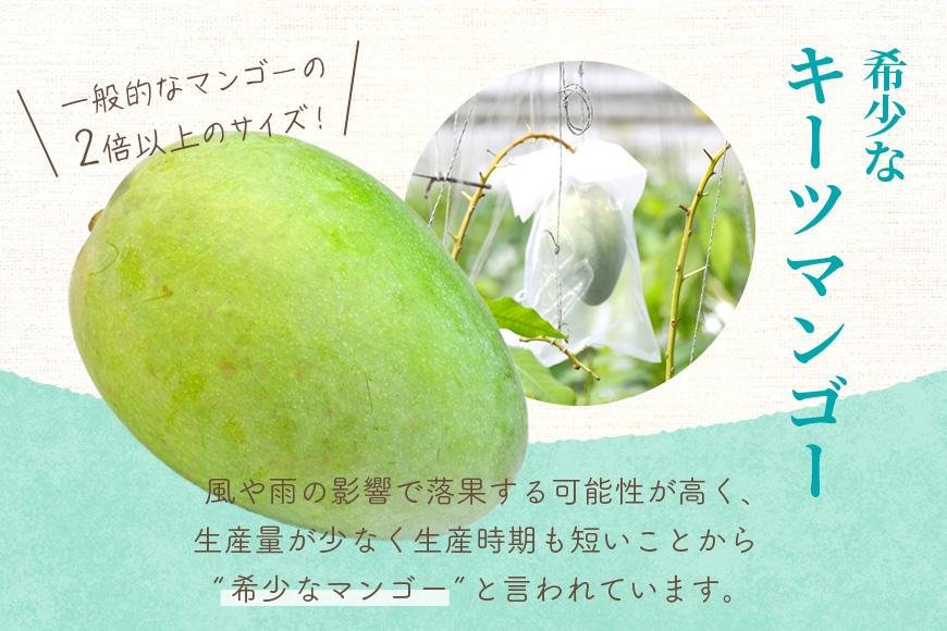 フローズンキーツマンゴー 《急速冷凍》2ｋｇ（FU010）