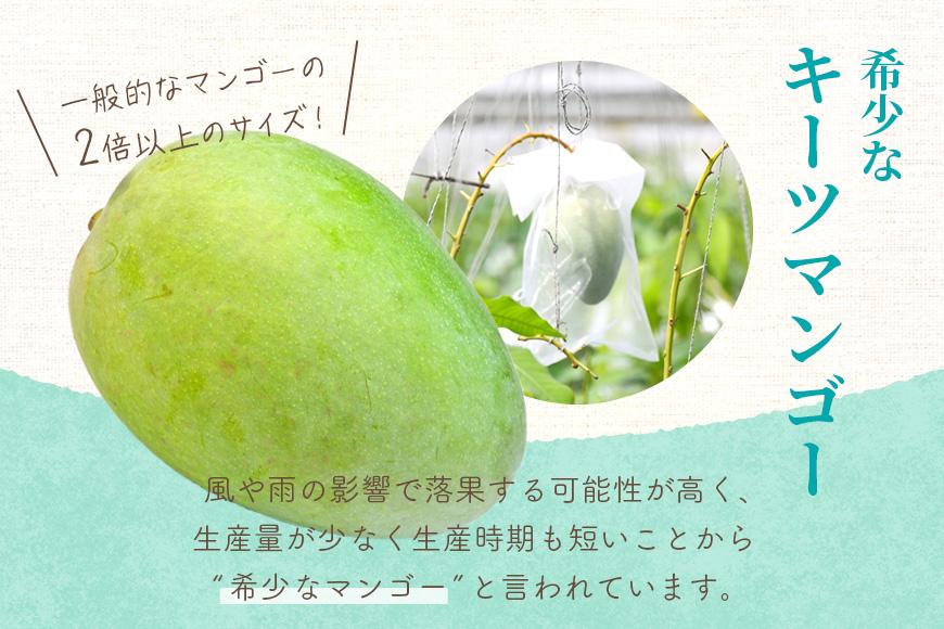 フローズンキーツマンゴー 《急速冷凍》600ｇ（FU007）