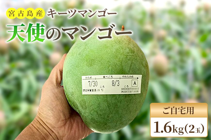 《先行予約 2026年発送》『天使のマンゴー』宮古島産キーツマンゴー《LA MANGUE BLEUE》【ご自宅用】農家直送 1.6kg以上（2個入り）（GZ007）