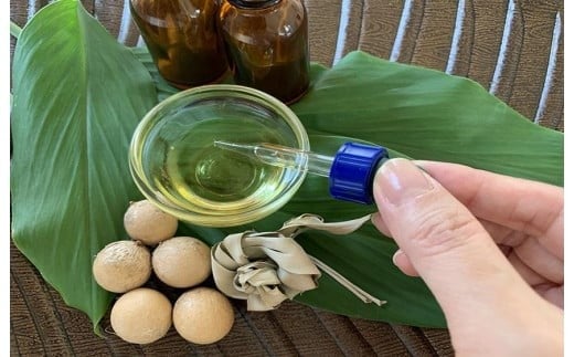 2豕3譌・繝エ繧」繝ゥ螳ソ豕奇シ繧ィ繧ケ繝縲隈rand Bleu Gaminテ佑huran迚ケ蛻・繝励Λ繝ウ縲搾シGR002シ