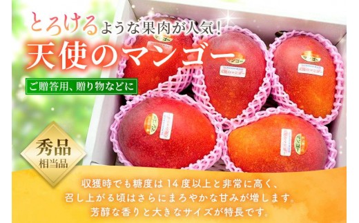 ãå
è¡äºçŽ2026幎çºéãã倩䜿ã®ãã³ãŽãŒãå®®å€å³¶ç£ã¢ãŒãŠã£ã³ãã³ãŽãŒ 2kgïŒ4ã6çïŒããèŽççšããLA MANGUE BLEUEã蟲家çŽéïŒGZ006ïŒ