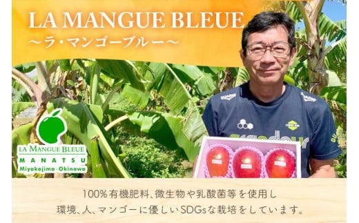 ãå
è¡äºçŽ2026幎çºéãã倩䜿ã®ãã³ãŽãŒãå®®å€å³¶ç£ã¢ãŒãŠã£ã³ãã³ãŽãŒ 2kgïŒ4ã6çïŒããèŽççšããLA MANGUE BLEUEã蟲家çŽéïŒGZ006ïŒ