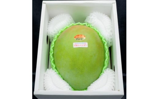 《先行予約 2026年発送》 『天使のマンゴー』宮古島産キーツマンゴー 約800g（1玉）ご贈答用「LA MANGUE BLEUE」農家直送（GZ005）