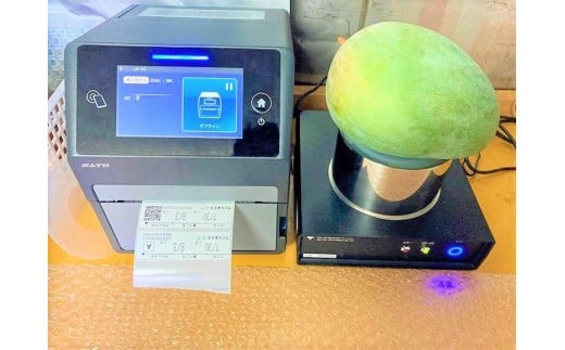 ãå
è¡äºçŽ 2026幎çºéã ã倩䜿ã®ãã³ãŽãŒãå®®å€å³¶ç£ããŒããã³ãŽãŒ çŽ800gïŒ1çïŒãèŽççšãLA MANGUE BLEUEã蟲家çŽéïŒGZ005ïŒ