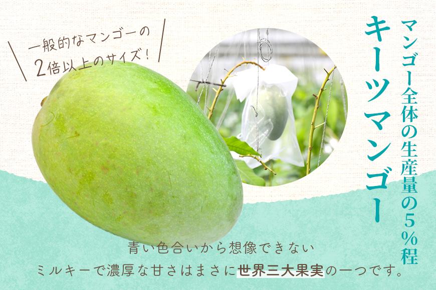 《先行予約 2026年発送》 『天使のマンゴー』宮古島産キーツマンゴー 約800g（1玉）ご贈答用「LA MANGUE BLEUE」農家直送（GZ005）