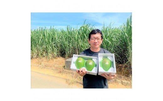 ãå
è¡äºçŽ 2026幎çºéã ã倩䜿ã®ãã³ãŽãŒãå®®å€å³¶ç£ããŒããã³ãŽãŒ çŽ800gïŒ1çïŒãèŽççšãLA MANGUE BLEUEã蟲家çŽéïŒGZ005ïŒ