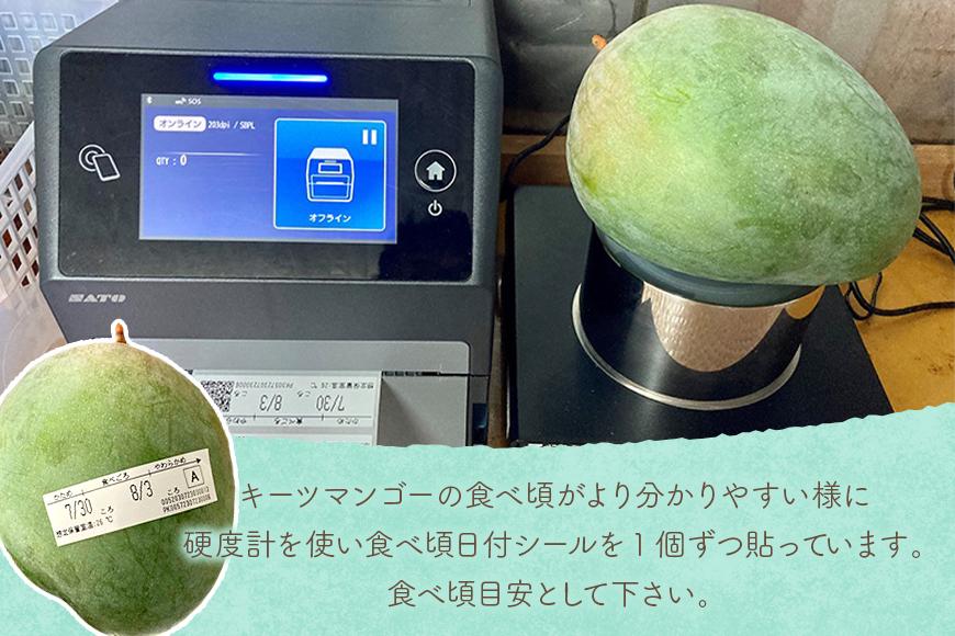 《先行予約 2026年発送》『天使のマンゴー』宮古島産キーツマンゴー  1.6kg （2玉）【ご贈答用】「LA MANGUE BLEUE」農家直送（GZ004）