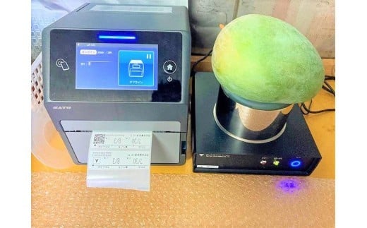 ãå
è¡äºçŽ 2026幎çºéãã倩䜿ã®ãã³ãŽãŒãå®®å€å³¶ç£ããŒããã³ãŽãŒ 1.6kg ïŒ2çïŒããèŽççšããLA MANGUE BLEUEã蟲家çŽéïŒGZ004ïŒ