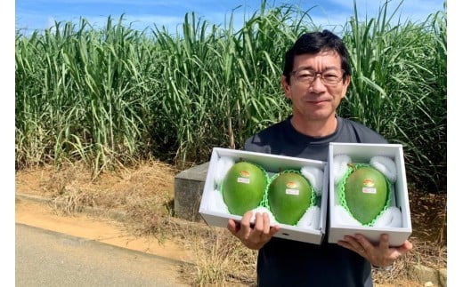 ãå
è¡äºçŽ 2026幎çºéãã倩䜿ã®ãã³ãŽãŒãå®®å€å³¶ç£ããŒããã³ãŽãŒ 1.6kg ïŒ2çïŒããèŽççšããLA MANGUE BLEUEã蟲家çŽéïŒGZ004ïŒ