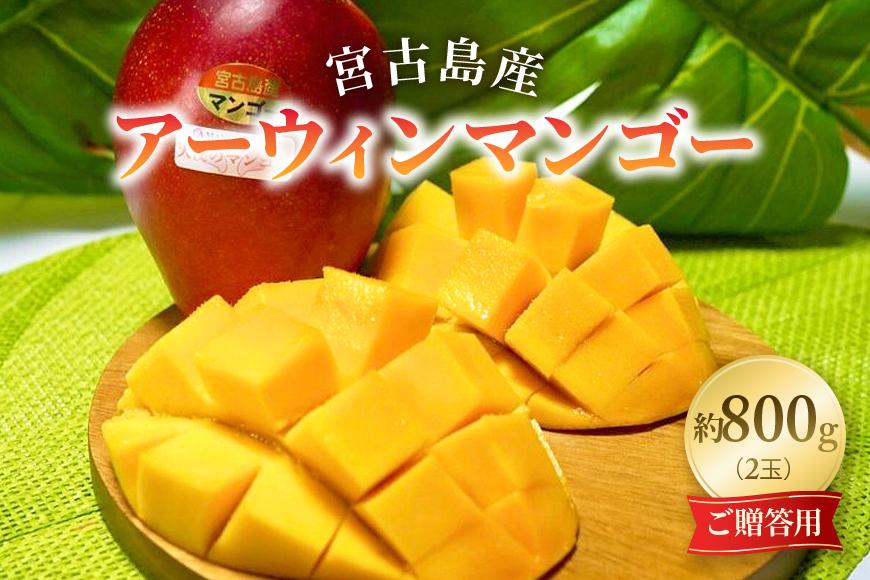 《先行予約 2026年発送》『天使のマンゴー』宮古島産アーウィンマンゴー 約800g （2玉）【ご贈答用】「LA MANGUE BLEUE」農家直送（GZ002）