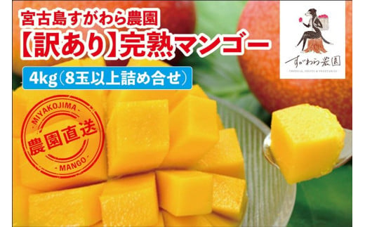 宮古島すがわら農園　【訳あり】完熟マンゴー4kg（8玉以上詰め合わせ）（FR005）