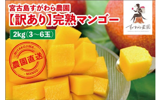宮古島すがわら農園　【訳あり】完熟マンゴー２kg（3～6玉）（FR004）