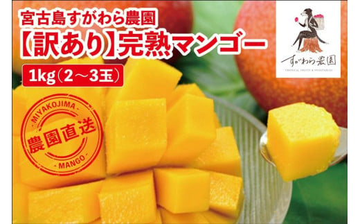 宮古島すがわら農園　【訳あり】完熟マンゴー1kg（2～3玉）（FR003）