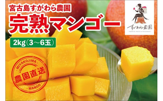 宮古島すがわら農園　完熟マンゴー2kg（3～6玉）（FR007）