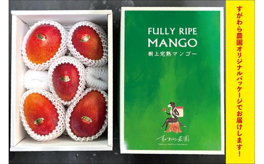 宮古島すがわら農園　完熟マンゴー2kg（3～6玉）（FR007）