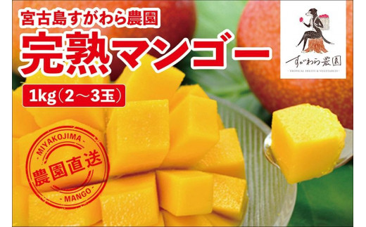 宮古島すがわら農園　完熟マンゴー1kg（2～3玉）（FR006）