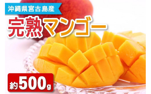 【宮古島産マンゴー】おためしセット1玉（約500ｇ）マンゴーファーム宮古島（FQ014）