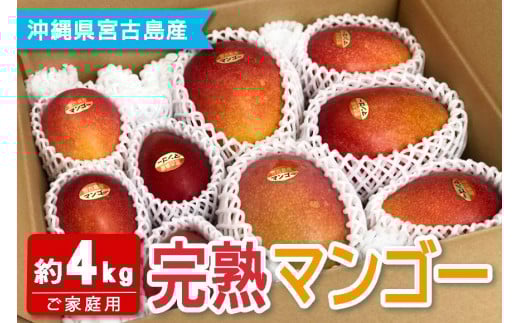 【宮古島産マンゴー】ご家庭用 4kg（8-11玉）マンゴーファーム宮古島（FQ013）