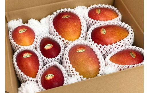 【宮古島産マンゴー】ご家庭用 4kg（8-11玉）マンゴーファーム宮古島（FQ013）