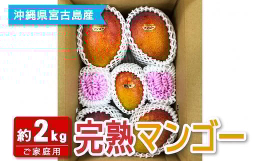 【宮古島産マンゴー】ご家庭用 2kg（4-6玉）マンゴーファーム宮古島（FQ012）