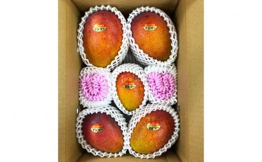 【宮古島産マンゴー】ご家庭用 2kg（4-6玉）マンゴーファーム宮古島（FQ012）