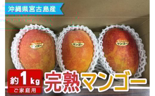 【宮古島産マンゴー】ご家庭用 1kg（2-3玉）マンゴーファーム宮古島（FQ011）