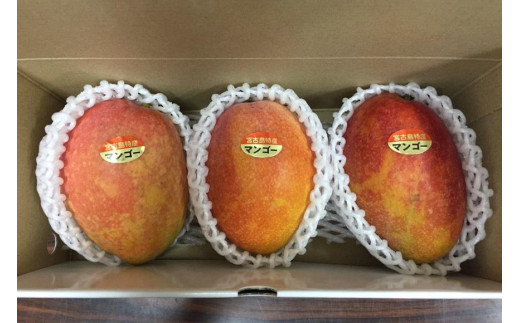 【宮古島産マンゴー】ご家庭用 1kg（2-3玉）マンゴーファーム宮古島（FQ011）