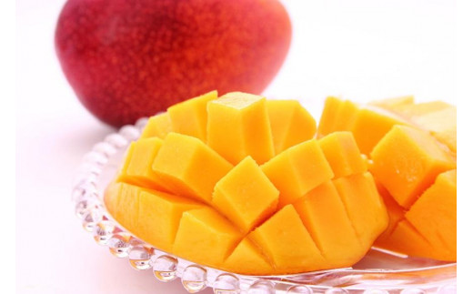 【宮古島産マンゴー】ご家庭用 1kg（2-3玉）マンゴーファーム宮古島（FQ011）