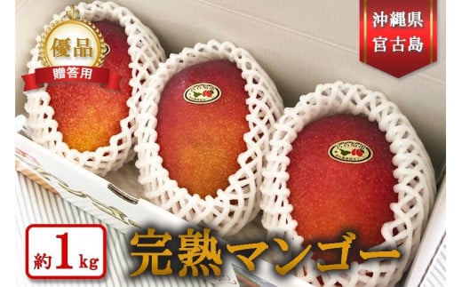 【宮古島産マンゴー】ご贈答用 1kg（2-3玉）マンゴーファーム宮古島（FQ009）