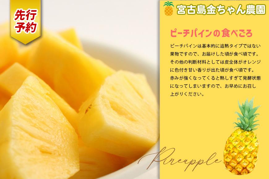 ãå
è¡äºçŽãã2026幎çºéãå®®å€å³¶ç£ããŒããã€ã³ 2kgïŒ3ïœ4åïŒã»ãããéã¡ãã蟲åãïŒAK107ïŒ