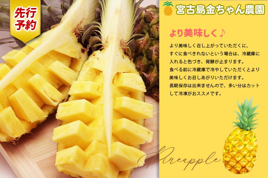 ãå
è¡äºçŽãã2026幎çºéãå®®å€å³¶ç£ããŒããã€ã³ 2kgïŒ3ïœ4åïŒã»ãããéã¡ãã蟲åãïŒAK107ïŒ