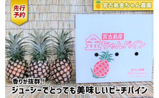 《先行予約》【2026年発送】宮古島産ピーチパイン 2kg（3～4個）セット《金ちゃん農園》（AK107）