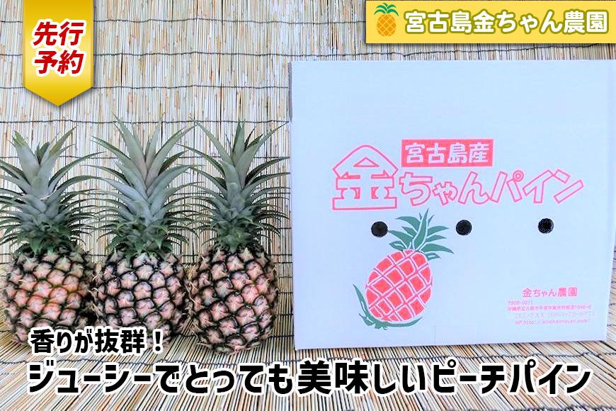 ãå
è¡äºçŽãã2026幎çºéãå®®å€å³¶ç£ããŒããã€ã³ 2kgïŒ3ïœ4åïŒã»ãããéã¡ãã蟲åãïŒAK107ïŒ