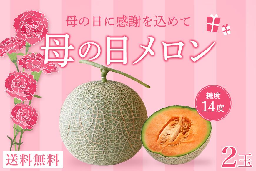 母の日ギフト 母の日メロン【大玉２玉】｜沖縄県宮古島産（琉球マルシェ）