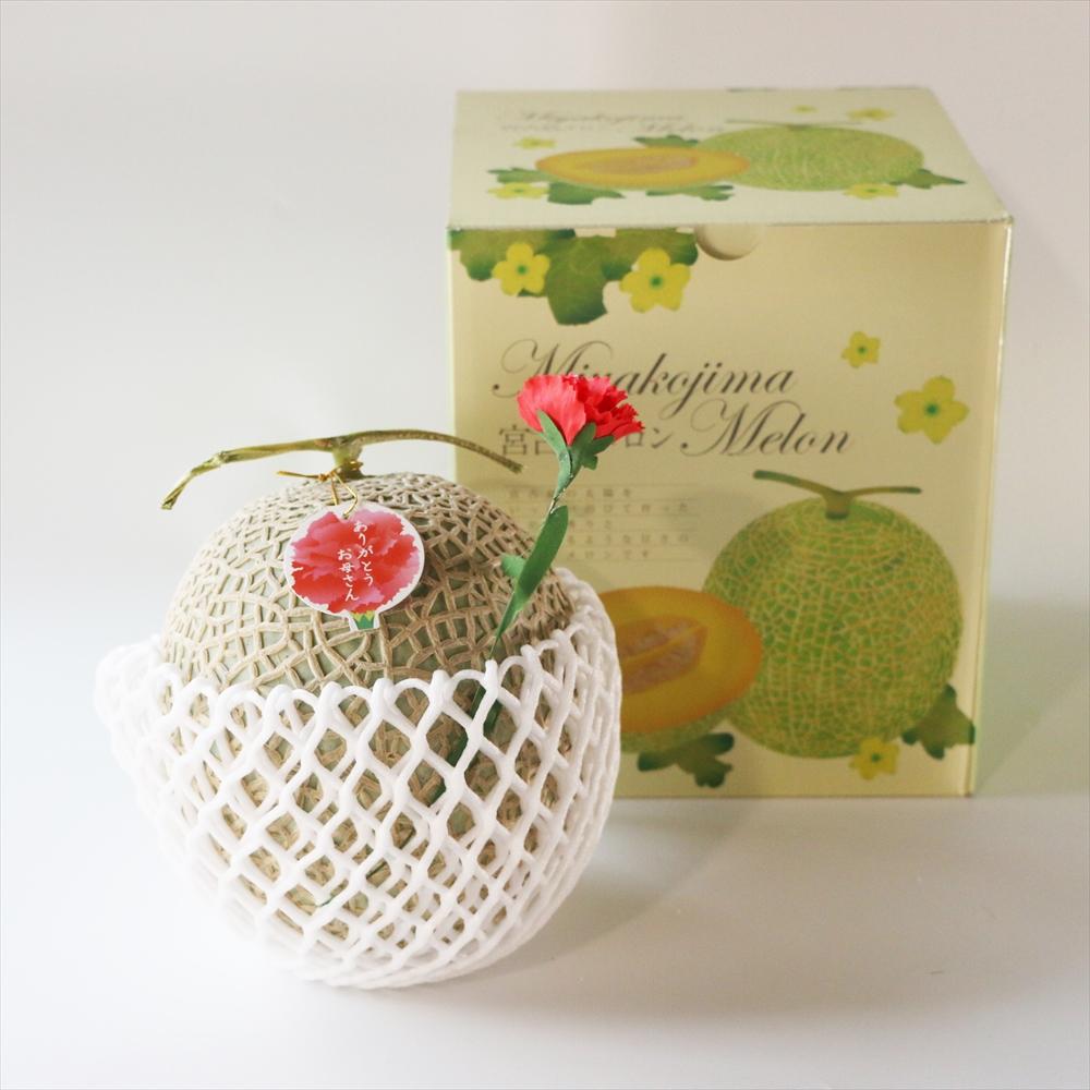 母の日ギフト 母の日メロン【大玉１玉】｜沖縄県宮古島産（琉球マルシェ）