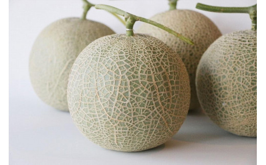 沖縄・宮古島 春メロン【１玉】｜贈答用・高級果物・赤肉メロン（琉球マルシェ）