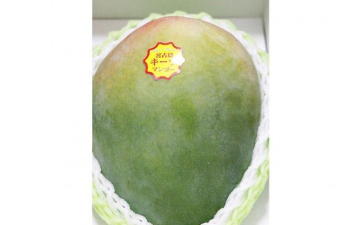 《先行予約》宮古島産 マンゴーセット｜アーウィン＆キーツ｜フルーツ定期便 全2回＜琉球マルシェ＞