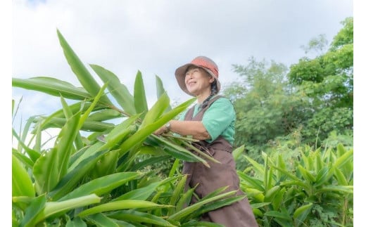 満月月桃発酵茶　50g×2個セット