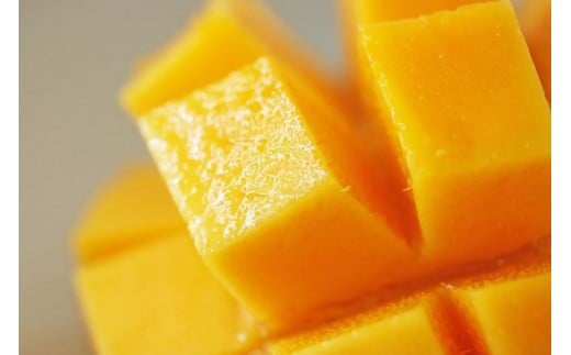 《先行予約》沖縄県宮古島産 減農薬栽培 キーツマンゴー甘濃（かんのう）2玉【琉球マルシェ】