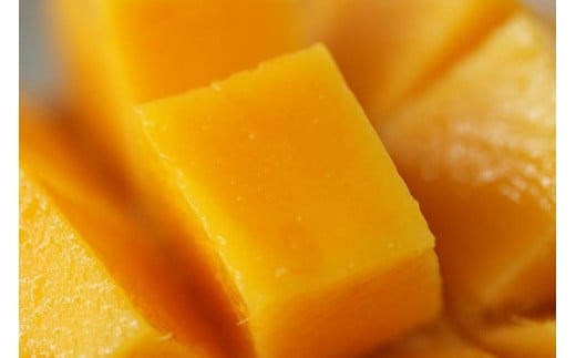 《先行予約》沖縄県宮古島産 減農薬栽培 キーツマンゴー甘濃（かんのう）1玉【琉球マルシェ】