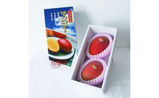 《先行予約》沖縄県宮古島産 減農薬栽培マンゴー 1kg【最良品】｜贈答用・糖度15度以上！｜琉球マルシェ