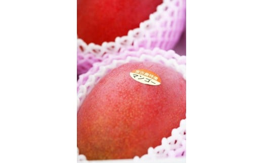 縲雁郁。御コ育エ縲区イ也ク逵悟ョョ蜿、蟲カ逕」 貂幄セイ阮ャ譬ス蝓ケ繝槭Φ繧エ繝シ 1kg縲仙━蜩√托ス懆エ育ュ皮畑繝サ邉門コヲ14蠎ヲ莉・荳奇シス懃翠逅繝槭Ν繧キ繧ァ