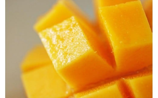 縲雁郁。御コ育エ縲区イ也ク逵悟ョョ蜿、蟲カ逕」 貂幄セイ阮ャ譬ス蝓ケ繝槭Φ繧エ繝シ 1kg縲仙━蜩√托ス懆エ育ュ皮畑繝サ邉門コヲ14蠎ヲ莉・荳奇シス懃翠逅繝槭Ν繧キ繧ァ