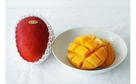 縲雁郁。御コ育エ縲区イ也ク逵悟ョョ蜿、蟲カ逕」 貂幄セイ阮ャ譬ス蝓ケ繝槭Φ繧エ繝シ 1kg縲仙━蜩√托ス懆エ育ュ皮畑繝サ邉門コヲ14蠎ヲ莉・荳奇シス懃翠逅繝槭Ν繧キ繧ァ